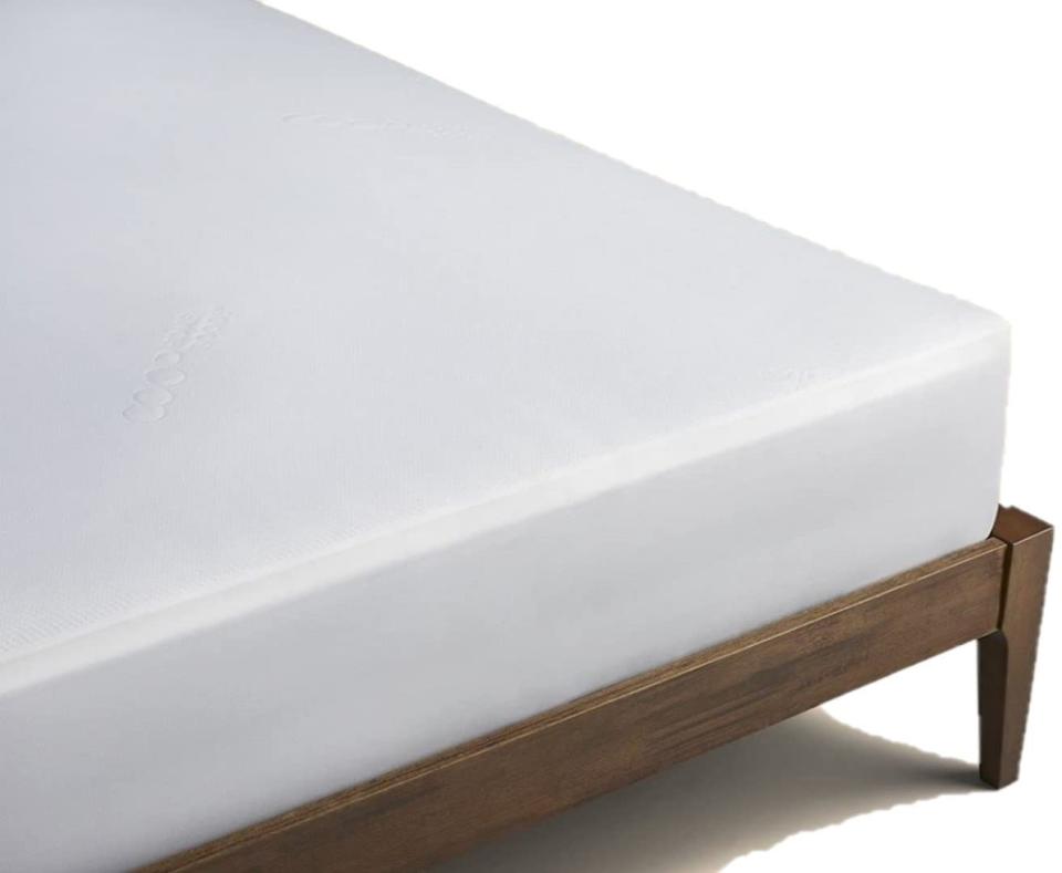 Coop Home Goods Premium Queen Mattress Protector