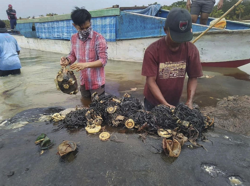 In this undated photo released by Akademi Komunitas Kelautan dan Perikanan Wakatobi (Wakatobi Marine and Fisheries Community Academy or AKKP Wakatobi), researchers remove plastic waste from the stomach of a beached whale at Wakatobi National Park in Southeast Sulawesi, Indonesia. The dead whale that washed ashore in eastern Indonesia had a large lump of plastic waste in its stomach, including drinking cups and flip-flops, a park official said Tuesday, causing concern among environmentalists and government officials in one of the world's largest plastic polluting countries. (Muhammad Irpan Sejati Tassakka, AKKP Wakatobi via AP)