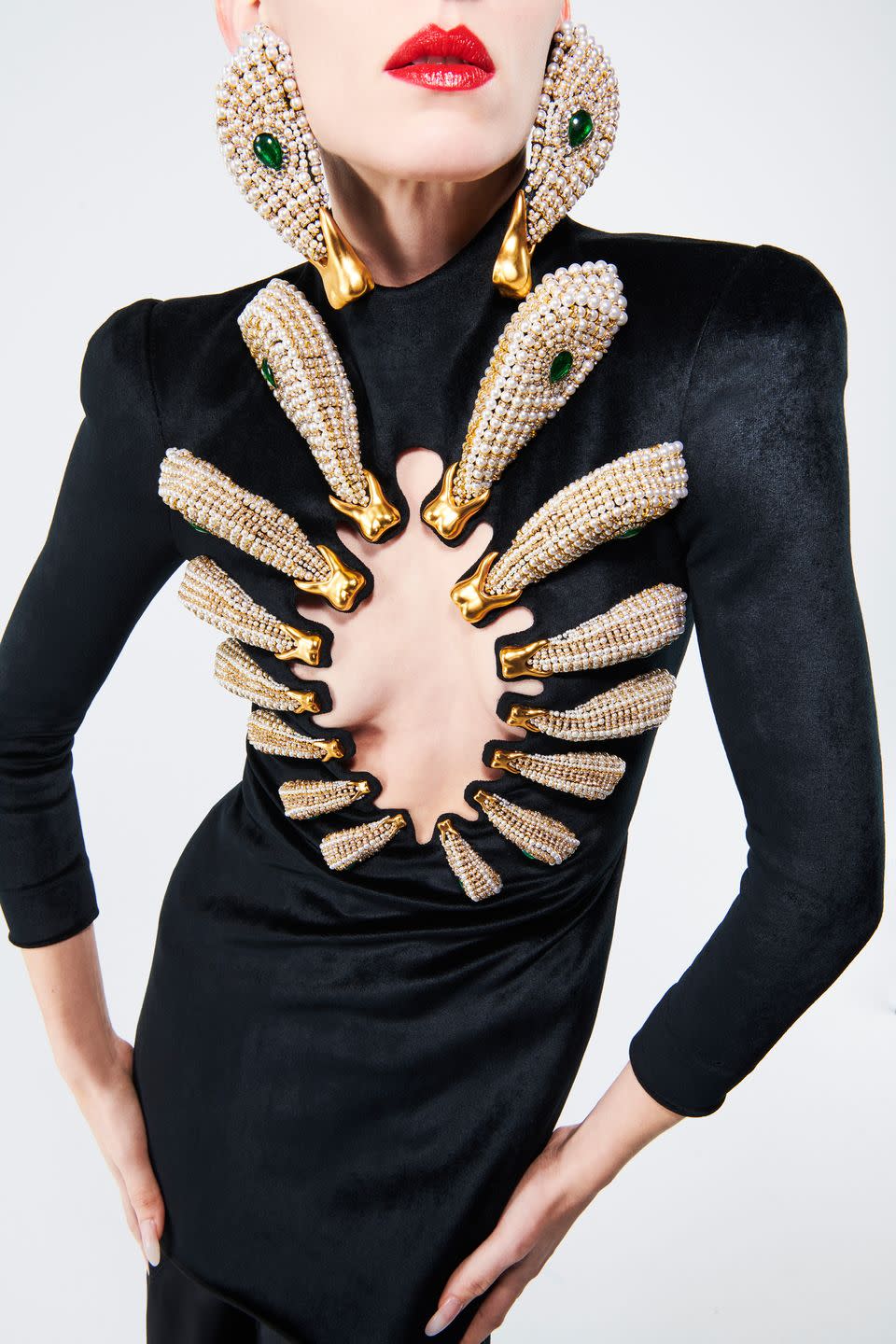 4) Schiaparelli