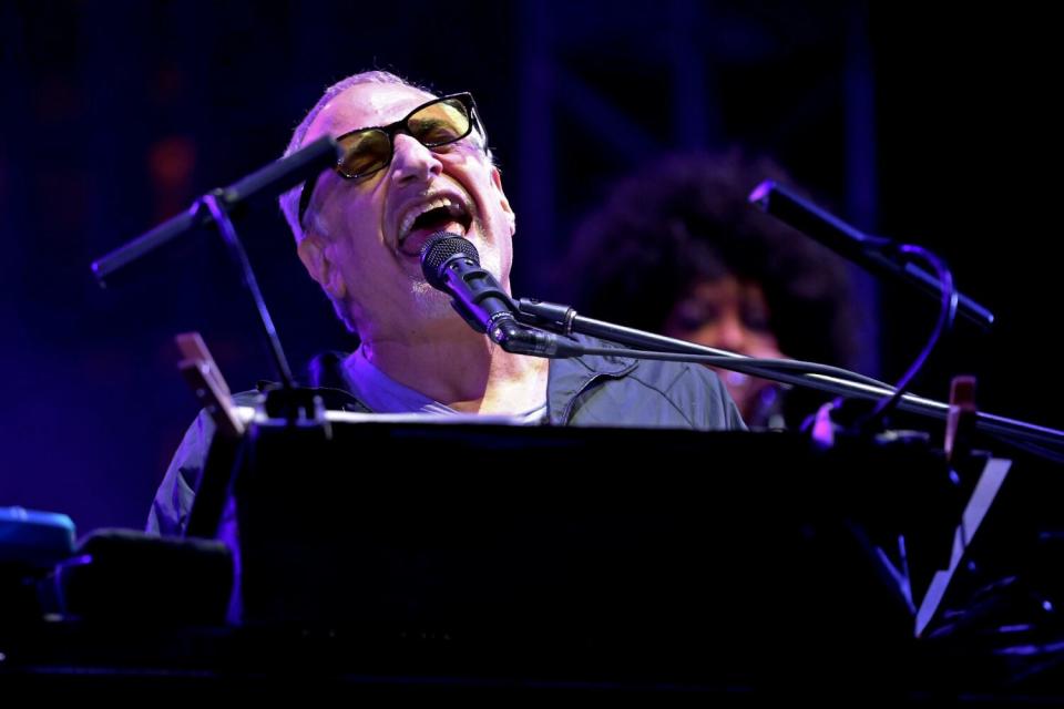 Donald Fagen of Steely Dan performs onstage.