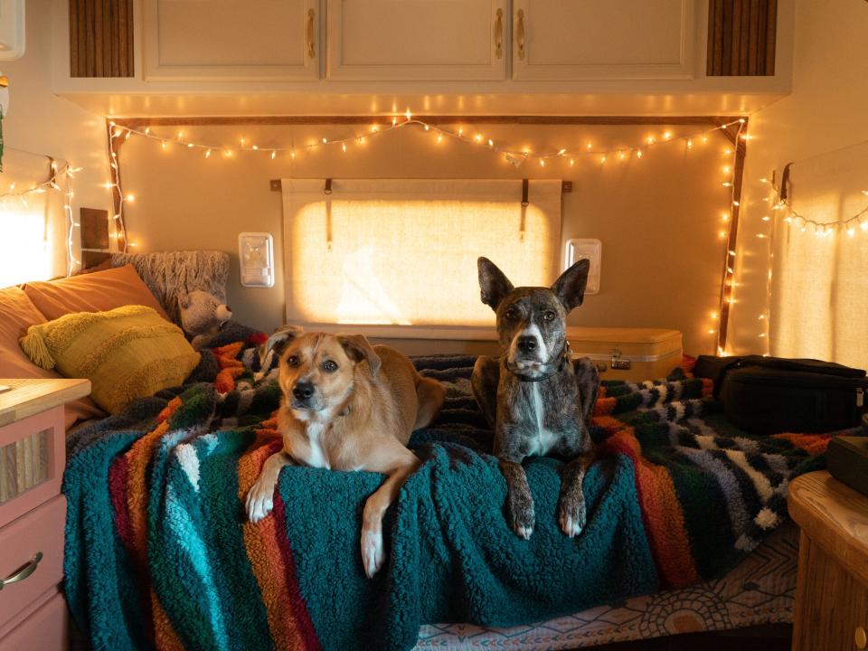 The Smiths travel around with their two dogs, Brooklyn and Cali.