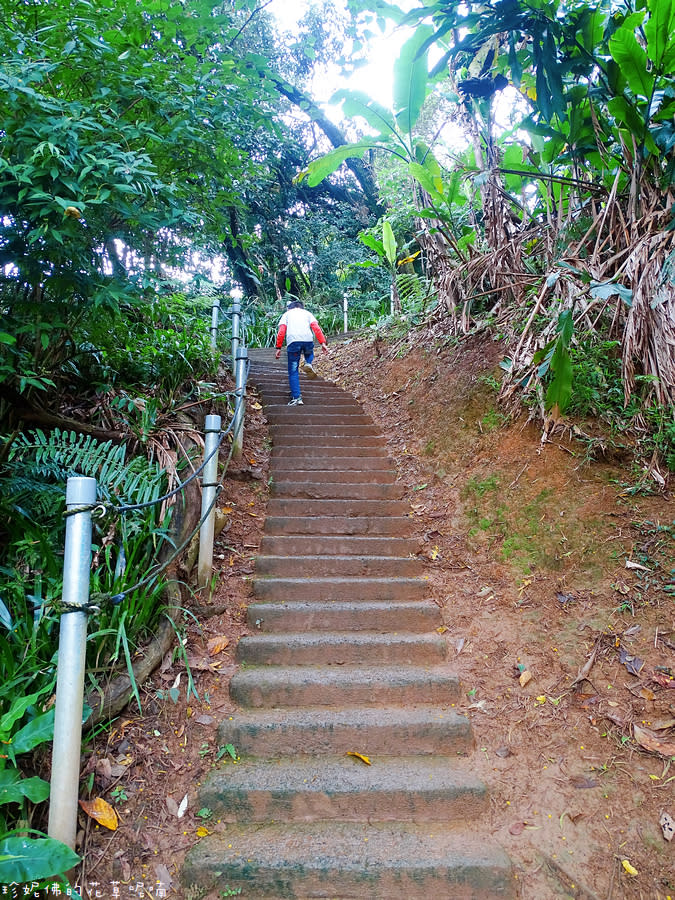 新北土城｜文筆山步道