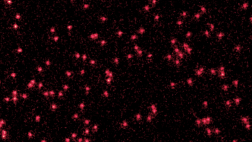  The image shows the white dots of Lithium atoms cooled to near absolute zero. The red smudges around them represent their wave packets. 