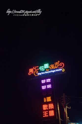 【桃園】北部最大的夜市開幕了！就在八德的興仁花園夜市，有吃也有的玩