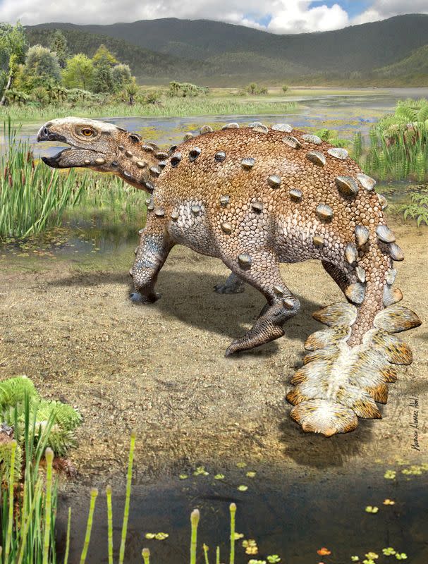 The newly identified Cretaceous Period armored dinosaur Stegouros elengassen, whose fossilized remains were discovered in Chile, is seen in an undated artist's rendition
