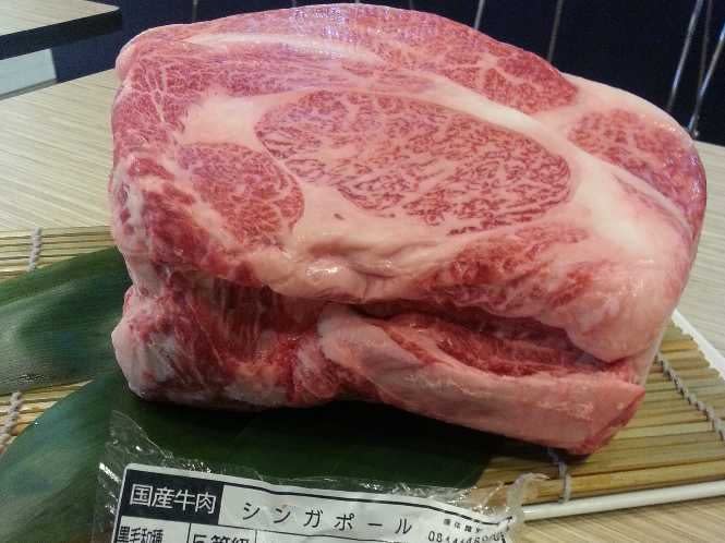 wagyu beef