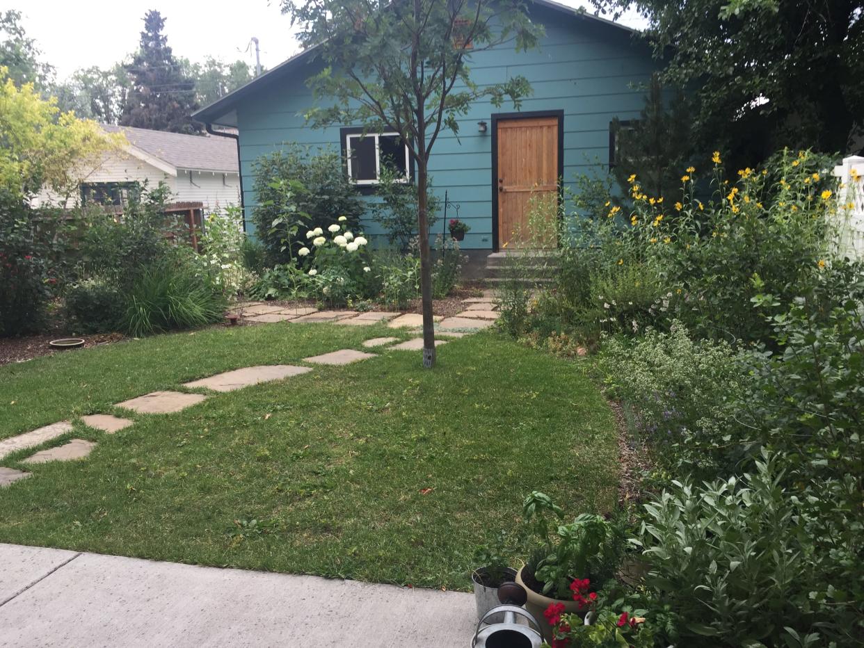 Native plants in this yard in Livingston, Montana, brought back abundance for bees and birds.