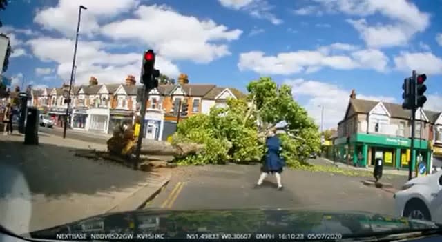 The tree lies across the junction