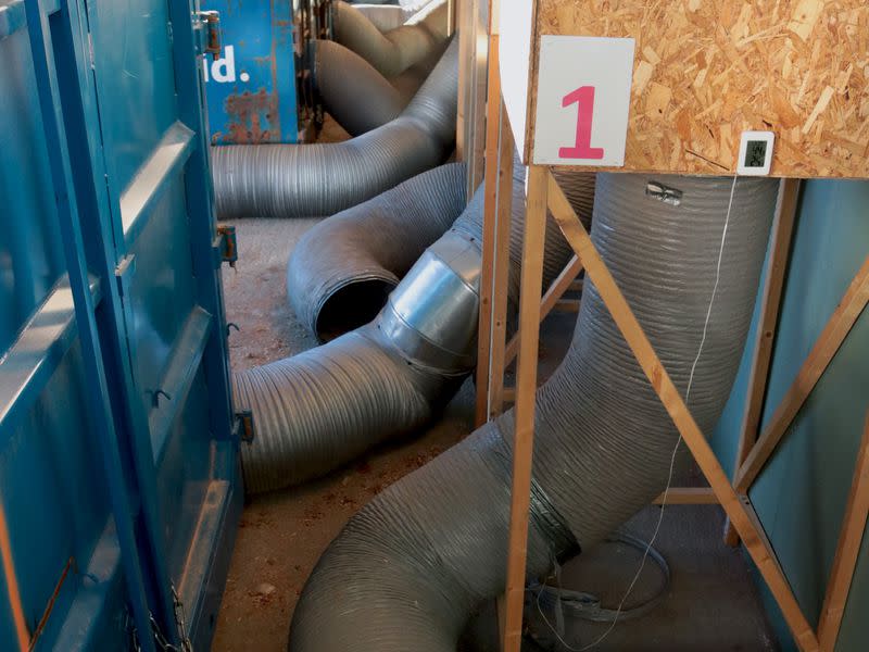 Heat is pumped from the room where the bitcoin mining ASICs are working into containers where wood is dried at the Kryptovault mining farm in Norway. (Eliza Gkritsi)