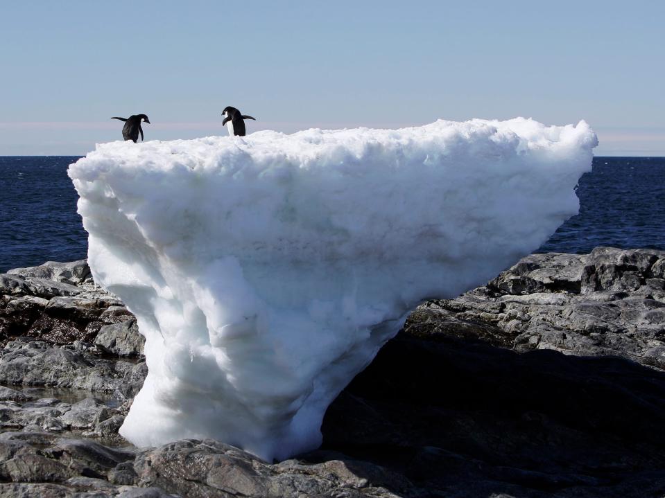 two penguins stand on melting iceberg on rocky shelf