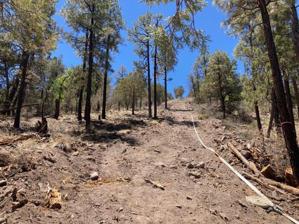 A hose is pictured stretched out June 7, 2022 in the Gila National Forest as crews continue to work to contain the Black Fire.