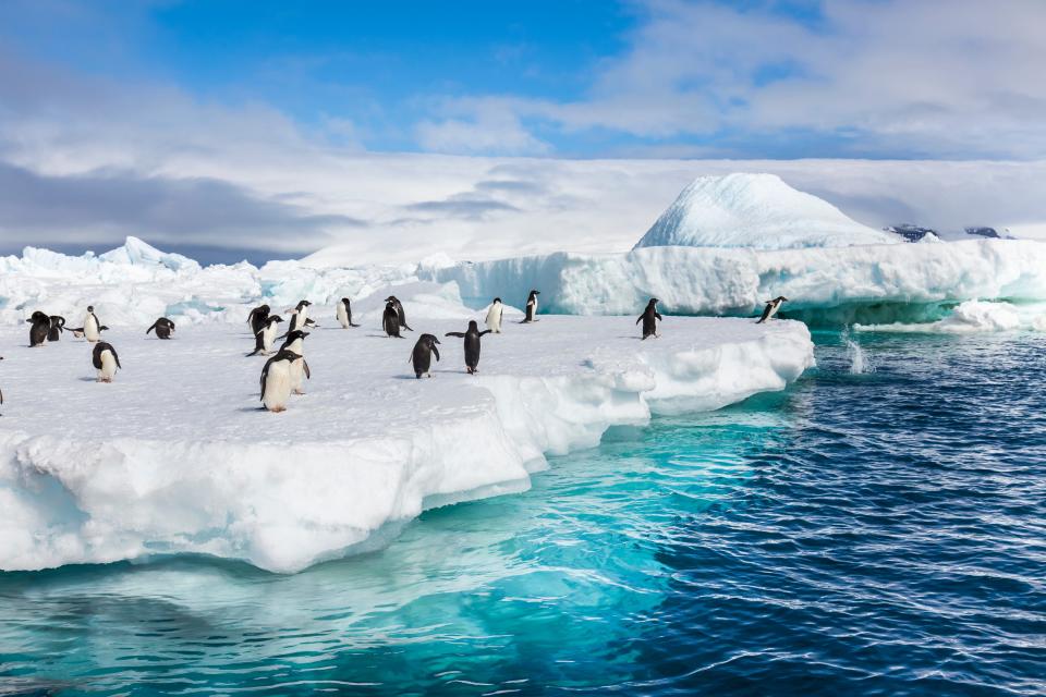 Penguins on a glacier in Antarctica