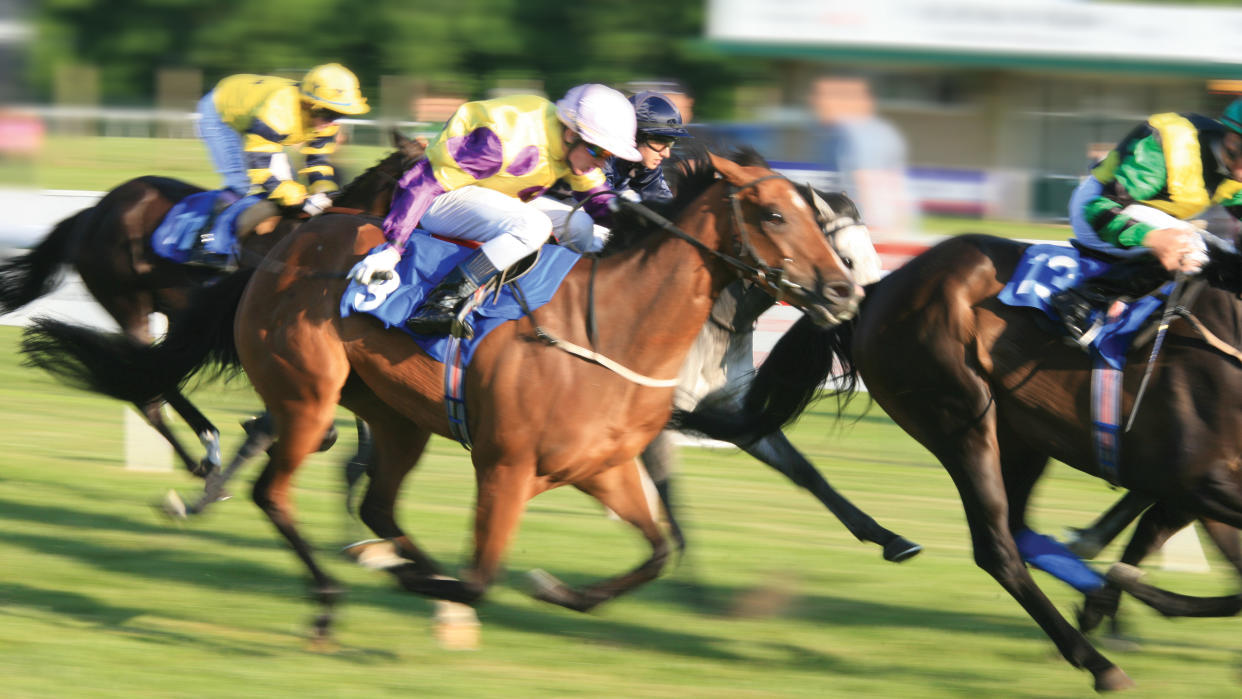  Panning photo of horse racing. 