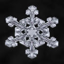 <p>Snowflakes can possess unending beauty and detail, even in a single crystal measuring only a few millimeters in diameter. (Photo: Don Komarechka/Caters News) </p>