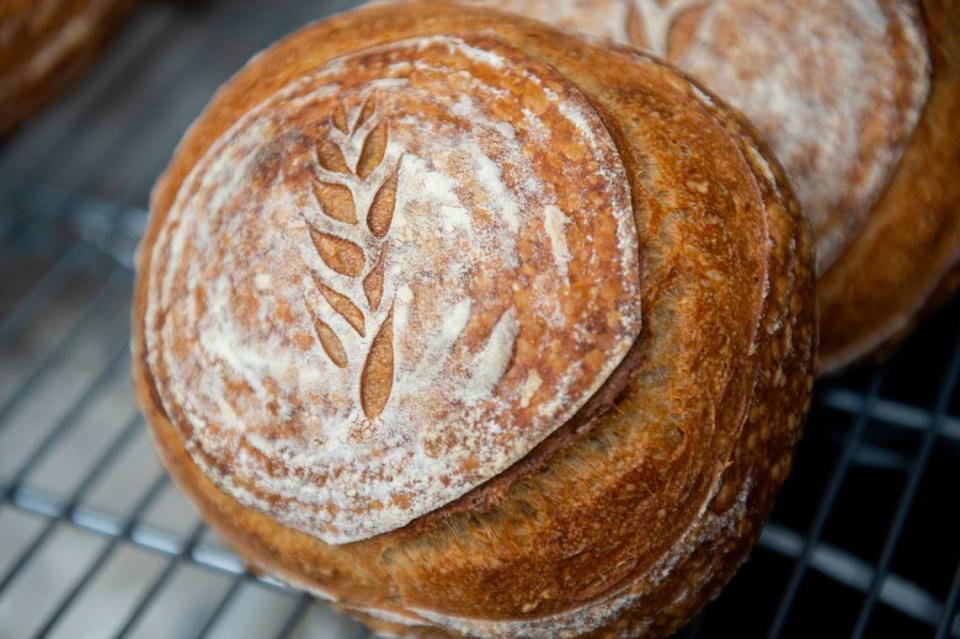 A sourdough loaf at Brew Paddle, a new bakery cafe at The Bella, a boutique hotel in Biloxi, on Wednesday, Sept. 13, 2023. The Brew Paddle will offer fresh bread, coffee, breakfast and lunch.