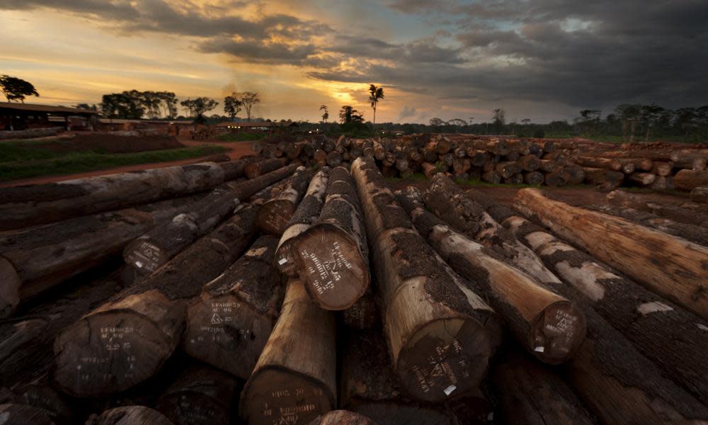 <span>Photograph: Brent Stirton/Getty Images</span>