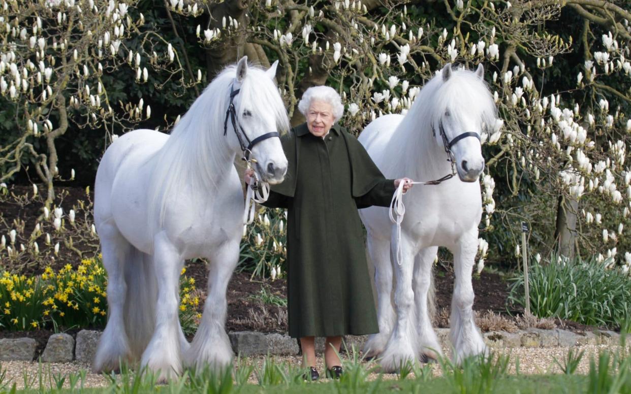 picture of queen elizabeth Royal Windsor Horse Show/henrydallalphotography.com - Royal Windsor Horse Show/henrydallalphotography.com 