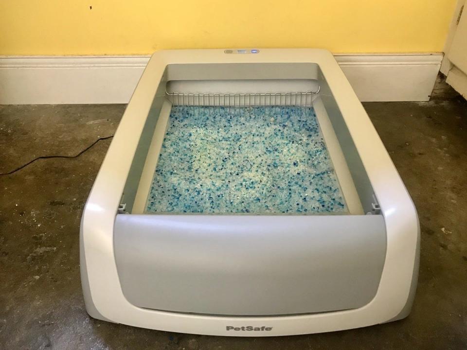 A gray Petsafe Scoop Free Self-Cleaning Litter Box filled with blue crystal litter with a self-cleaning rake in back.