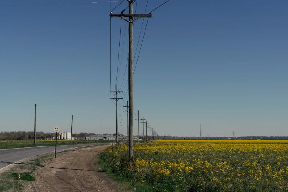 <div class="inline-image__caption"><p>A stretch of road near Raceland, Louisiana on February 21, 2020. </p></div> <div class="inline-image__credit">Annie Flanagan for The Trace</div>