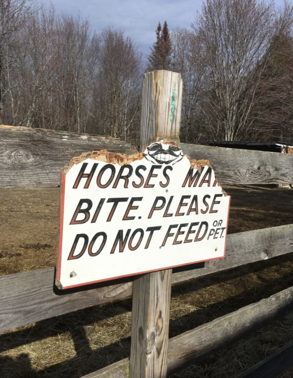 "Horses may bite; please do not feed or pet" sign on a fence, with the top torn/bitten off