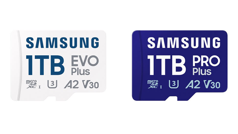  Samsung 1TB microSD card. 