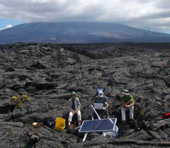 Sierrga Negra is the largest and most active volcano in the Galapagos.