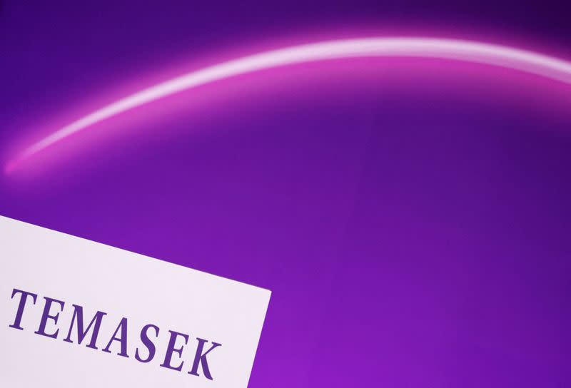 FILE PHOTO: Temasek Review in Singapore