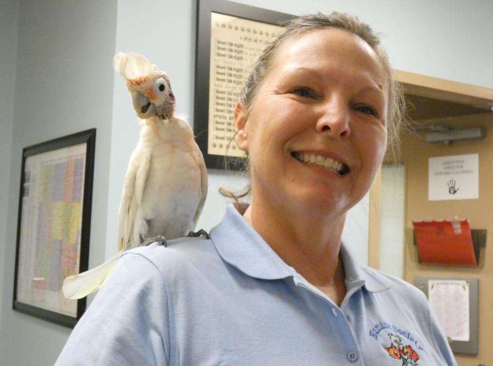 CiCi the cockatoo perches on the shoulder of Victoria Caldwell, executive director of Humane Society Serving Crawford County. She attended one meeting of 100 Women Who Care and then joined. TELEGRAPH-FORUM FILE PHOTO