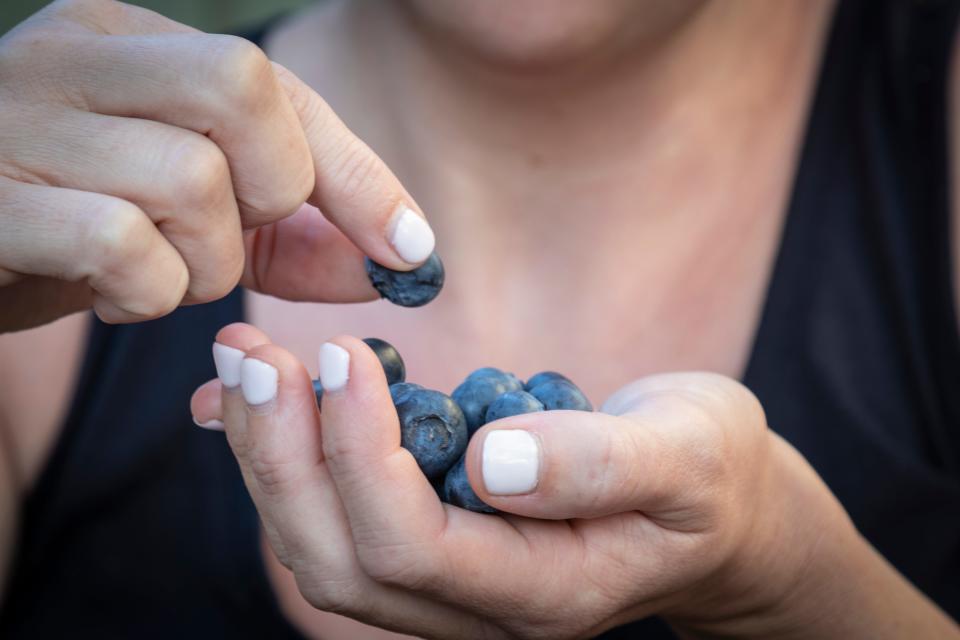 eating blueberries blueberry fruit vegan