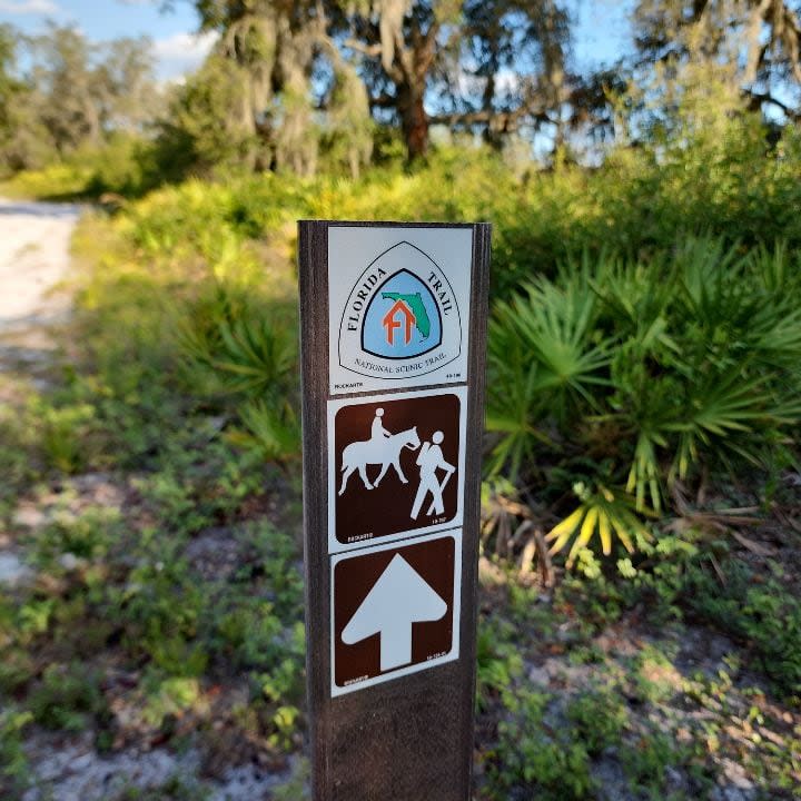 A FWC virtual scavenger hunt leads players to visit Florida’s Wildlife Management Areas.