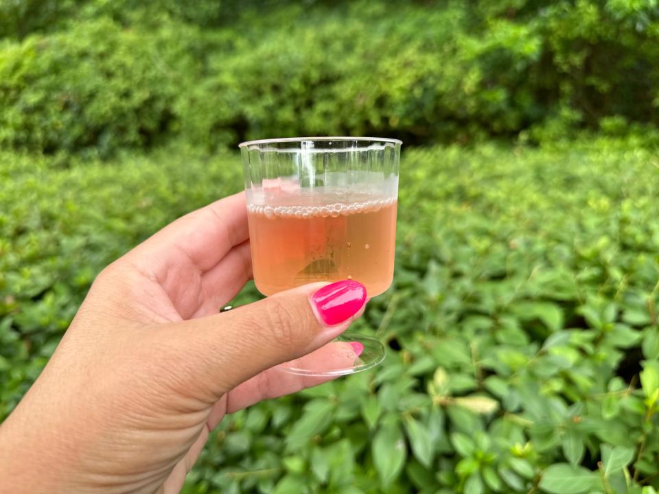 hand holding small glass of rose wine at epcot food and wine
