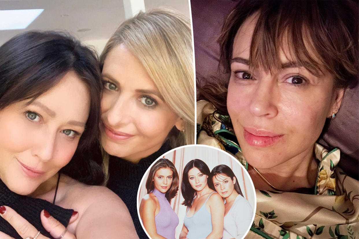 Sarah Michelle Gellar has officially thrown her support behind her long-time pal Shannen Doherty and the 