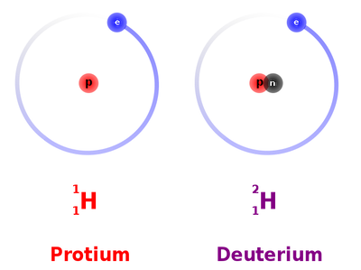 Normal hydrogen, or protium, does not contain a neutron in its nucleus, while deuterium contains one neutron, making it heavier. <a href="https://commons.wikimedia.org/wiki/File:Hydrogen_Deuterium_Tritium_Nuclei_Schmatic-en.svg" rel="nofollow noopener" target="_blank" data-ylk="slk:Dirk Hünniger/Wikimedia Commons;elm:context_link;itc:0;sec:content-canvas" class="link ">Dirk Hünniger/Wikimedia Commons</a>, <a href="http://creativecommons.org/licenses/by-sa/4.0/" rel="nofollow noopener" target="_blank" data-ylk="slk:CC BY-SA;elm:context_link;itc:0;sec:content-canvas" class="link ">CC BY-SA</a>