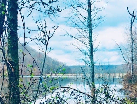 A view of Spurgeon Hollow Lake as seen along the Knobstone Trail.