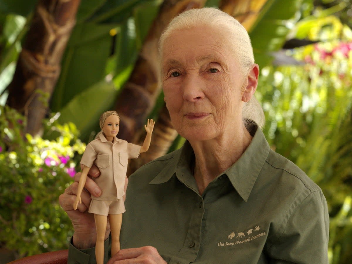 Primatologist Jane Goodall posing with the new Jane Goodall Barbie doll (via REUTERS)