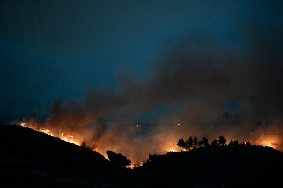 Extreme weather events like the Greece wildfires are seen as ‘black swans’ (Copyright 2021 The Associated Press. All rights reserved)