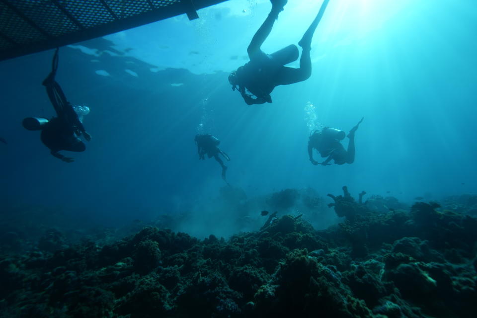 Divers leave the Remoora pontoon on Moore Reef in Gunggandji Sea Country off the coast of Queensland in eastern Australia on Nov. 15, 2022. The Great Barrier Reef, battered but not broken by climate change impacts, is inspiring hope and worry alike as researchers race to understand how it can survive a warming world. (AP Photo/Sam McNeil)