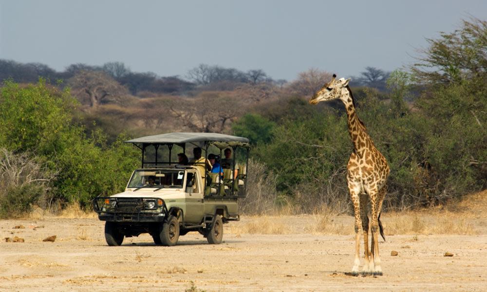 <span>Photograph: Ariadne Van Zandbergen/Alamy</span>