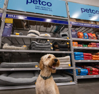 Lowe’s and Petco Deepen Pet Parent Affinity with Expansion of Store-in-Store Concept to Nearly 300 Locations