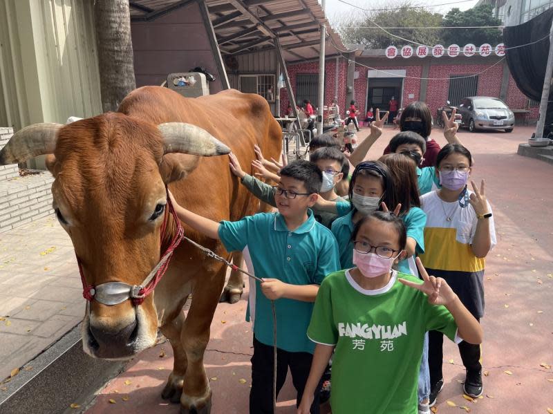 芳華再現苑景永續　芳苑國小師生奪全民社造行動首獎