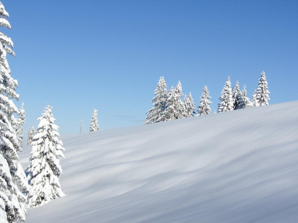 Skiers will find Söll’s illuminated slopes a dream for night skiing (Getty Images/iStockphoto)