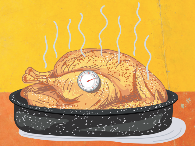 Where to Put a Thermometer In a Turkey