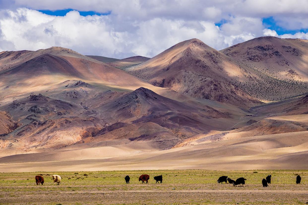 Altai Mountains, Mongolia