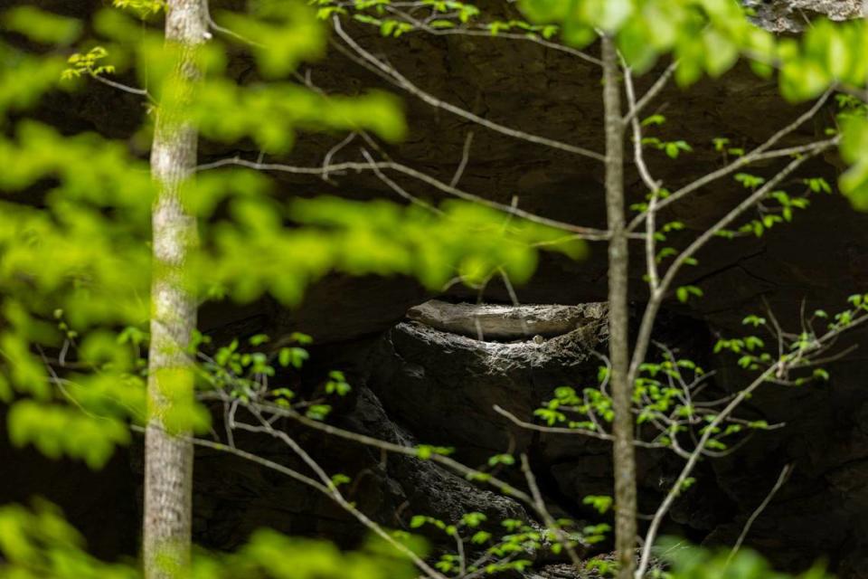 A short walk from the Carter Caves State Resort Park visitors’ center is a natural bridge.