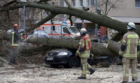 Firefighters remove parts of a tree from a street at Wedding district as Storm Niklas strikes in Berlin March 31, 2015. REUTERS/Fabrizio Bensch