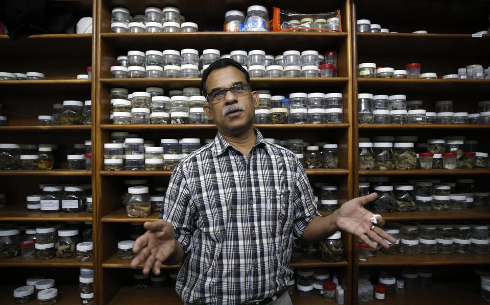 In this May 1, 2014 photo, University of Delhi professor Sathyabhama Das Biju, lead scientist of a project that has discovered 14 new species of so-called dancing frogs in the jungle mountains of southern India, talks during an interview in his laboratory in New Delhi, India. The study listing the new species brings the number of known Indian dancing frogs to 24 and attempts the first near-complete taxonomic sampling of the single-genus family found exclusively in southern India's lush mountain range called the Western Ghats, which stretches 1,600 kilometers (990 miles) from the west state of Maharashtra down to the country's southern tip. (AP Photo/Saurabh Das)