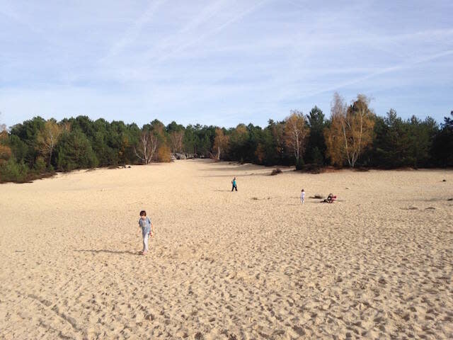 Sables du Cul du chien dans la Forêt de Fontainebleau