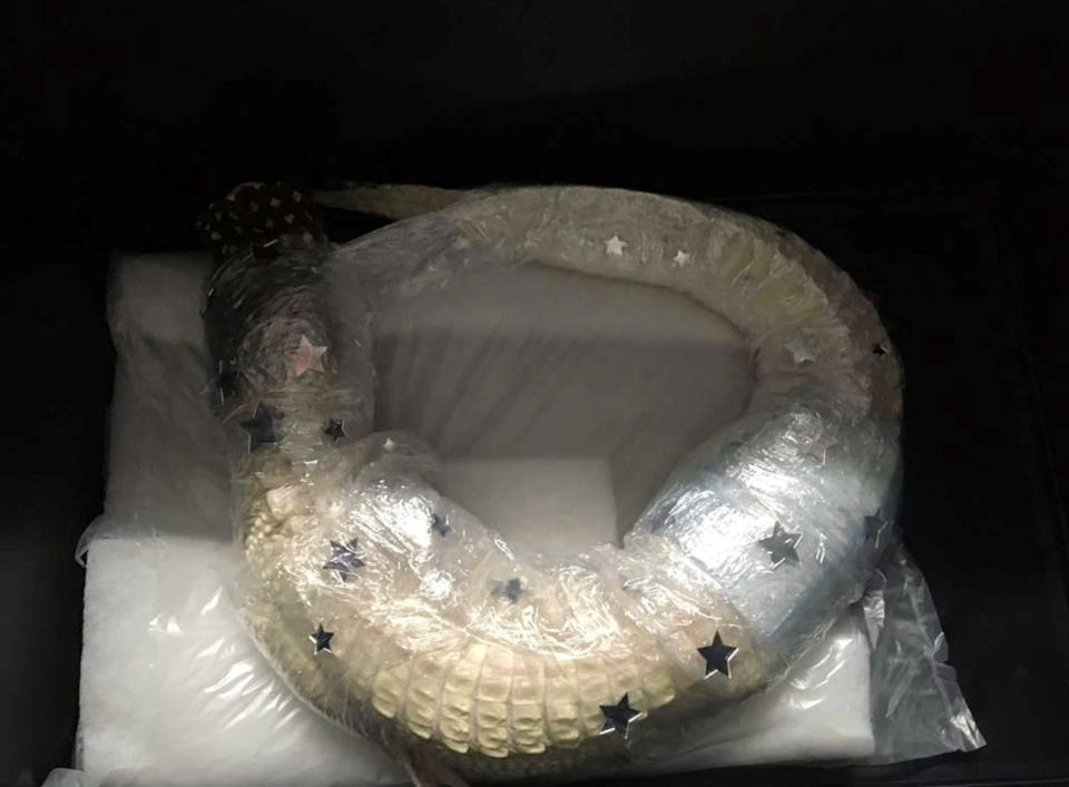 Picture shows the live albino alligator wrapped in cling film found inside a suitcase at Munich Airport. Source: Hauptzollamt Munchen/Newsflash/Australscope