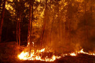 Bushfires burn between the townships of Bemm River and Cann River in eastern Gippsland on Jan. 02, 2020, Australia. (Photo by Darrian Traynor/Getty Images)