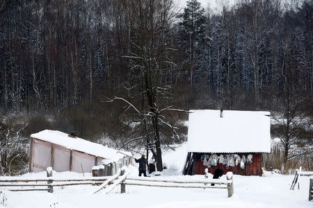 Veronika Baikov, daughter of Yuri and Tamara Baikov, cleans snow off a roof at their farms situated in a forest near the village of Yukhovichi, Belarus, February 7, 2018. REUTERS/Vasily Fedosenko